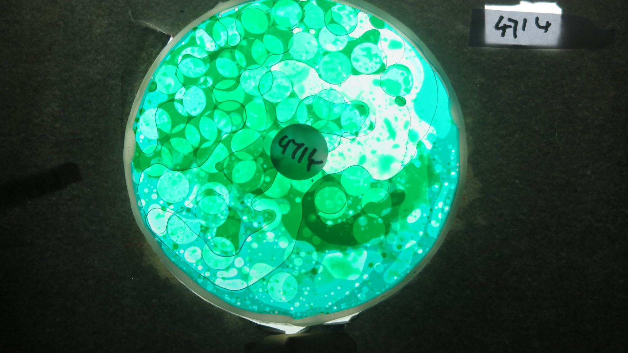 BV4714 bubble vision oil wheel